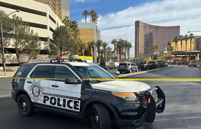 Polizei betrachtet Fahrzeugexplosion im Trump-Hotel in Las Vegas als möglichen Terrorakt: Offiziell