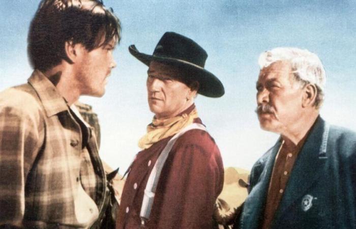 John Wayne’s The Searchers co-star enraged John Ford for what he did to Duke | Films | Entertainment