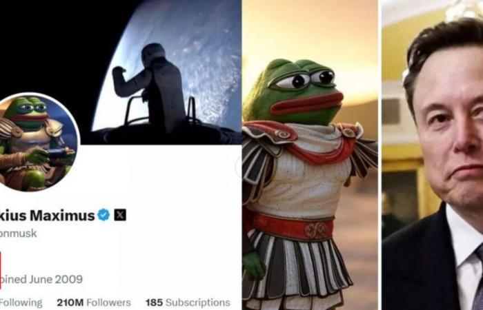 Musks „Kekius Maximus“-Avatar auf X steigert den Memecoin-Wert und löst Online-Rausch aus