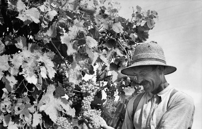 Humanistisches Charentes im Auge großer Fotografen