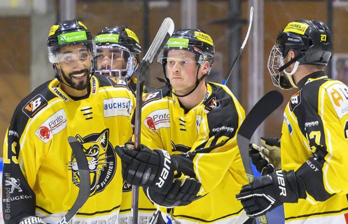 Diverse Schicksale Neuenburger Vereine in der 2. Eishockeyliga