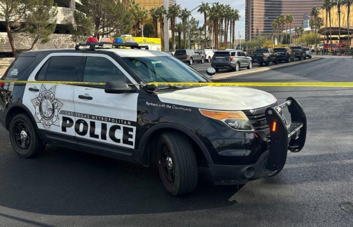 Polizei betrachtet Fahrzeugexplosion im Trump-Hotel in Las Vegas als möglichen Terrorakt: Offiziell