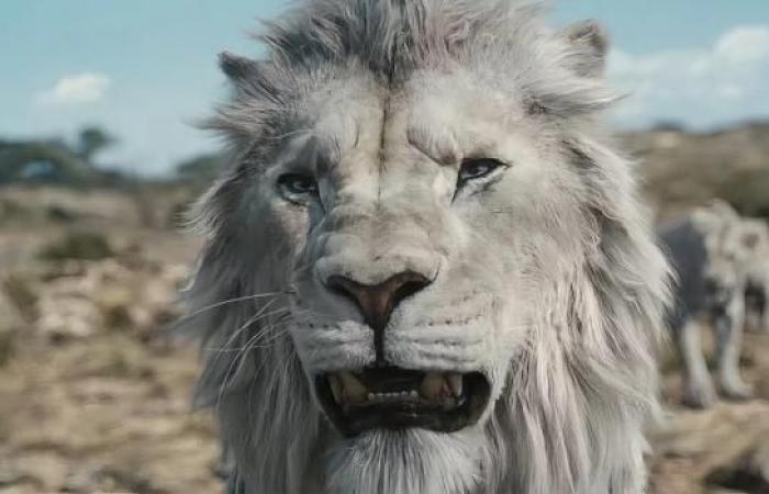 Der Disney-Film „König der Löwen“ verdeutlicht die Lizenzgebühren