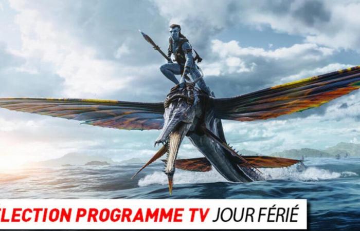 Fernsehsendung: Avatar 2, Harry Potter und die Heiligtümer des Todes… was gibt es an diesem Feiertag, dem 1. Januar 2025, im Fernsehen zu sehen?