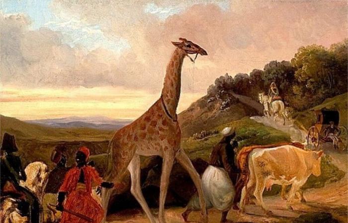 Dieses Dorf in Essonne begrüßte Zarafa, die erste Giraffe, die nach Frankreich kam