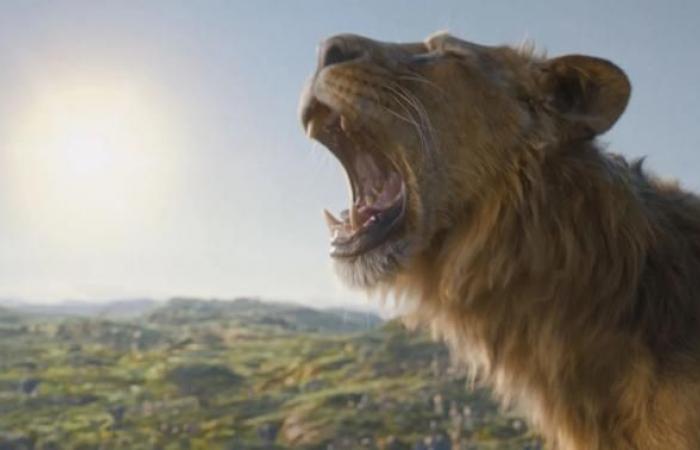 Der Disney-Film „König der Löwen“ verdeutlicht die Lizenzgebühren