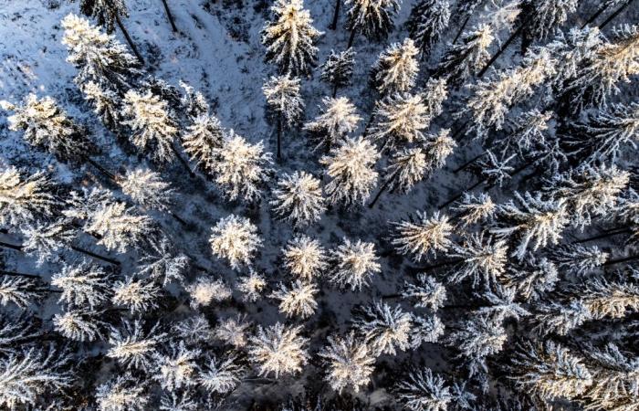 Wettervorhersage: Der erste Schnee im Jahr 2025 kommt