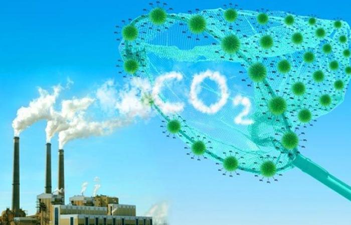 Die weltweiten CO2-Emissionen steigen im Jahr 2024 um 0,8 %, was ein Hindernis für das 1,5 °C-Klimaziel darstellt