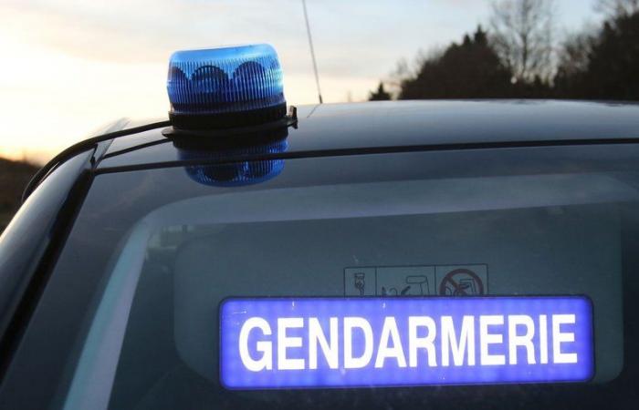 Bei übermäßigem Alkoholkonsum ersticht ein 64-jähriger Mann seinen „langjährigen Freund“ und glaubt, er „würde ihn schlagen“.