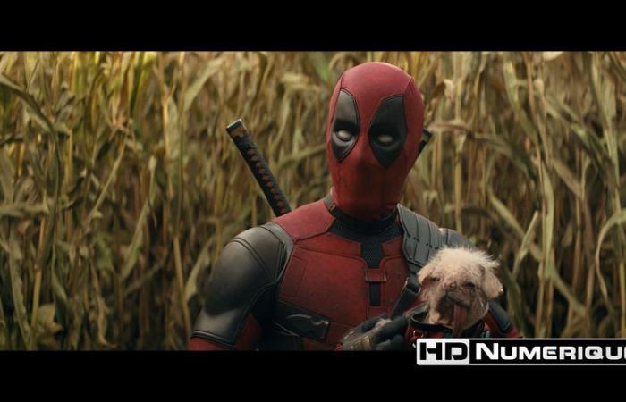 Testen Sie 4K Ultra HD Blu-ray: Deadpool & Wolverine (2024)