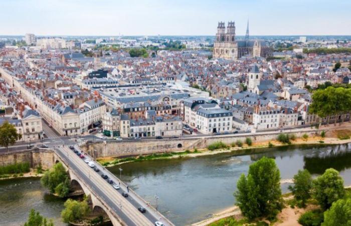 Immobilien in Orléans: m2-Preise und Trends im Januar 2025