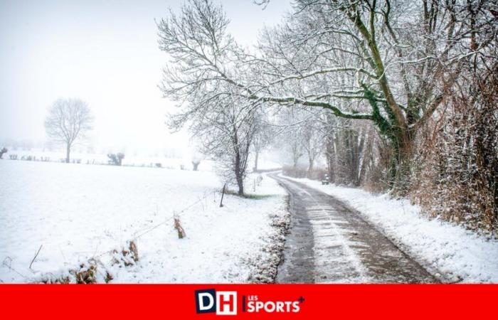 Wetter: bis Samstag bis zu 20 Zentimeter Schnee in den Haute Ardenne, bevor es vorübergehend mild wird, „aber es ist nur vorübergehend, der Schnee wird zurückkehren“