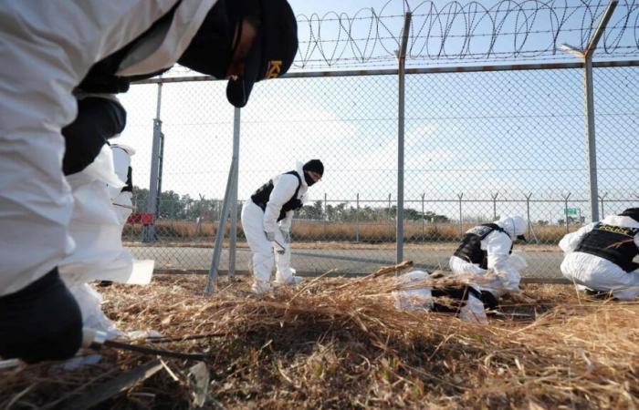 Flugzeugabsturz in Südkorea: Polizei durchsucht Flughafen