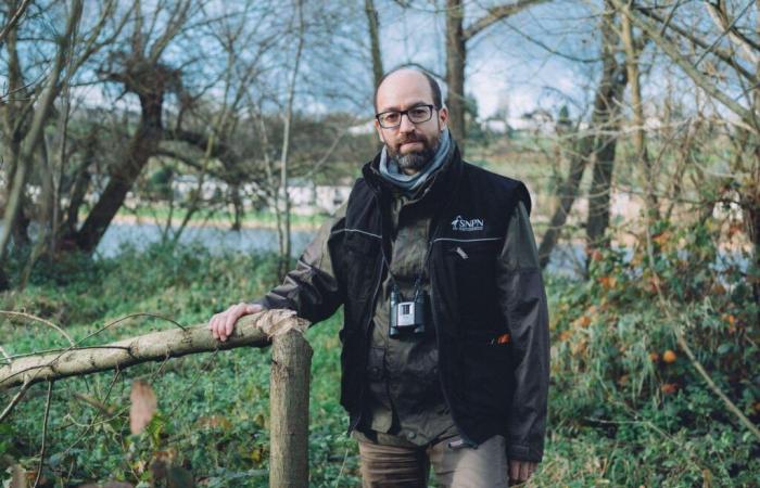 „Der Biber hat seinen Platz in einer vom Menschen tiefgreifend veränderten Welt gefunden“