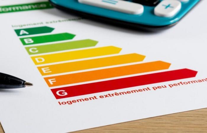 Panik überkommt die Besitzer von Thermofiltern, deren Vermietung verboten ist