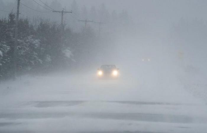 Bis zu 60 Zentimeter Schnee im Süden Ontarios