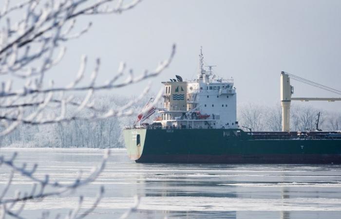 Schiff in der Nähe von Verchères gestrandet | Das Entladen wird auf Samstag verschoben