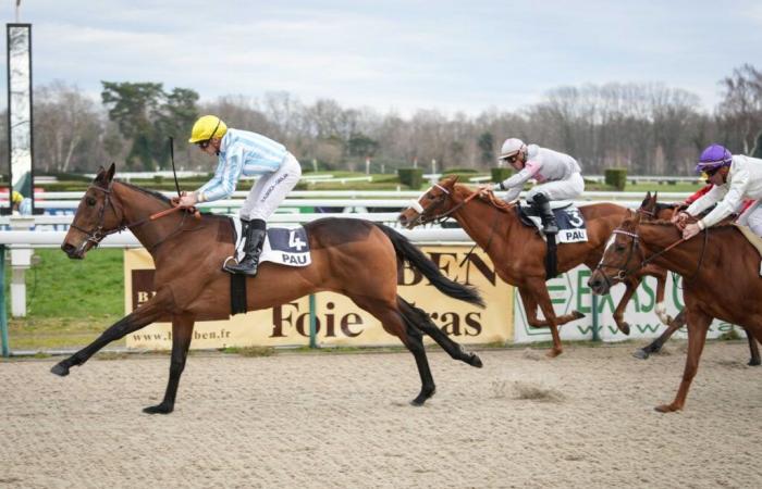 Am Donnerstag, den 2. Januar, dominiert Marmara in Pau den Prix de Montaut.