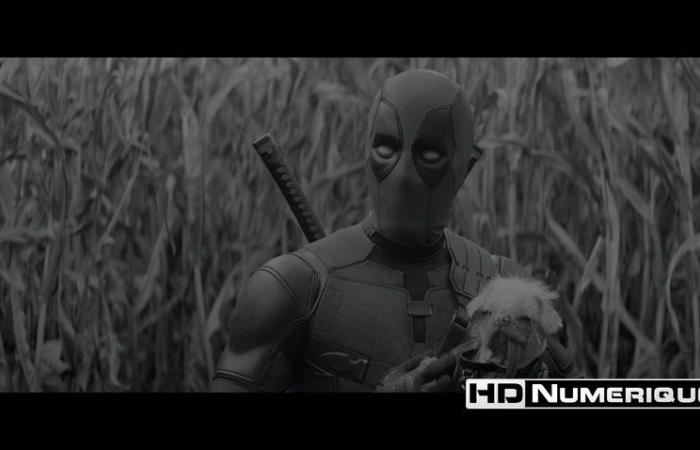 Testen Sie 4K Ultra HD Blu-ray: Deadpool & Wolverine (2024)