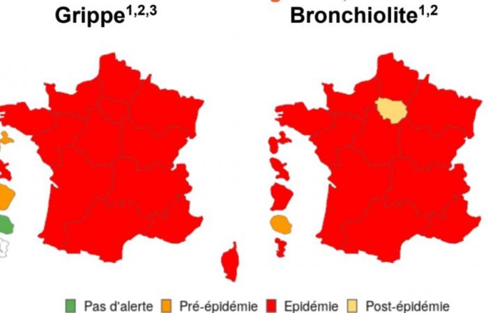 Grippe, Covid-19, Bronchiolitis… Update zu Epidemien in Frankreich zu Beginn des Jahres 2025