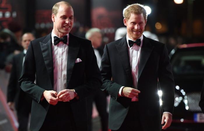 William und Harry: Der Mann, der Covid „vorhergesagt“ hat, gibt die Farbe für die beiden Brüder im Jahr 2025 bekannt