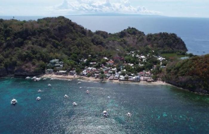 Apo Island, das schadstofffreie Juwel des Archipels