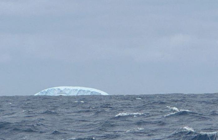 Zum ersten Mal seit 2008 sahen die Skipper der Vendée Globe 2024 einen Eisberg