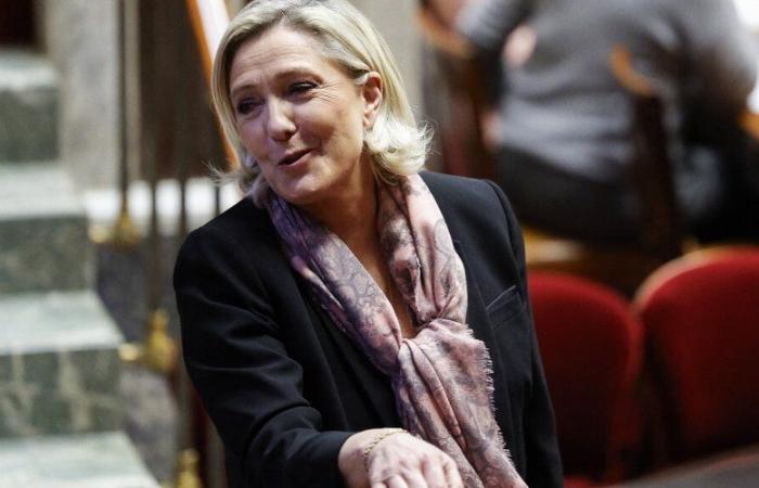 Zyklon Chido in Mayotte: Marine Le Pen wird von Sonntag bis Dienstag dorthin gehen, kündigt die National Rally an