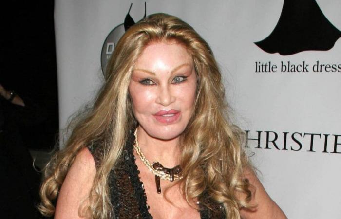 Jocelyne Wildenstein, die berühmte „Katzenfrau“, starb letzte Nacht in Paris, ein bedeutsames Verschwindenlassen