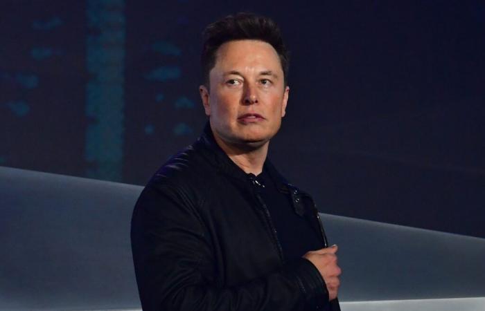 Elon Musk unterstützt eine rechtsextreme Figur und greift die Regierung an