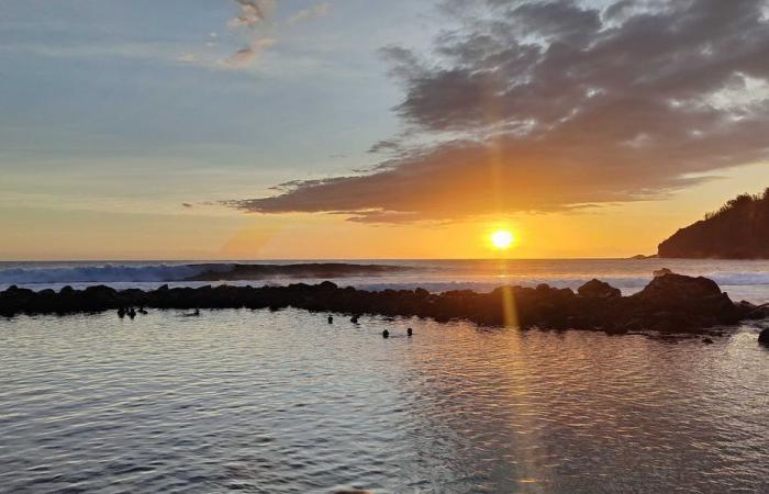 Schwimmen im Manapany-Becken verboten, nachdem eine Seeschlange gemeldet wurde