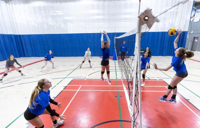 Volleyball Quebec | Ein Sport in guten Händen