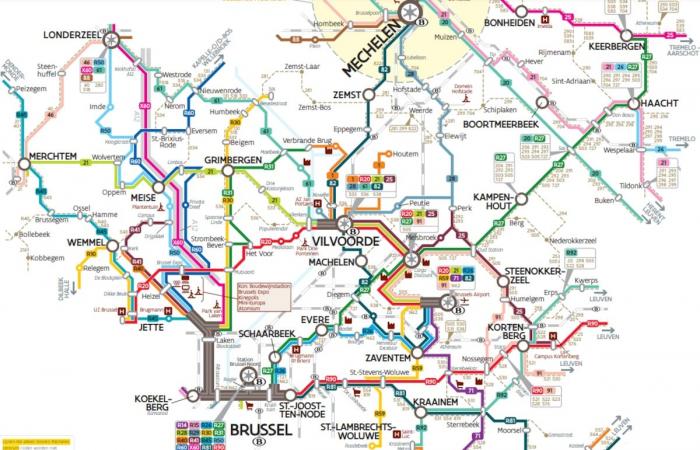 Entfernung von Bussen, neue Nummern, geänderte Fahrpläne …: große Veränderungen ab Januar auf dem De Lijn-Netz zwischen Brüssel und Brabant (INFOGRAFIEN)