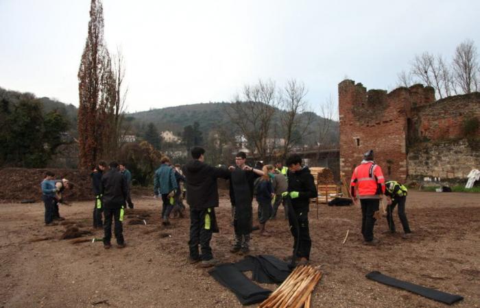 Was ist das für ein Wald, der am Stadtrand von Cahors gepflanzt wird?