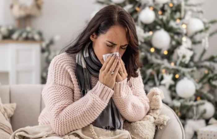 Die Grippeepidemie hat sich in Frankreich zum Jahresende verstärkt, die Fälle von Bronchiolitis sind zurückgegangen