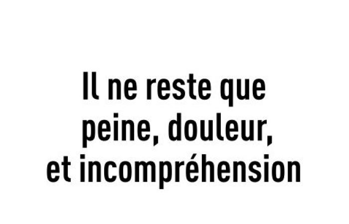 Alles was bleibt ist Schmerz, Schmerz und Unverständnis – ???? Info Libertaire