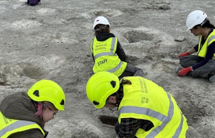 Fast 200 Dinosaurier-Fußabdrücke in britischem Steinbruch entdeckt