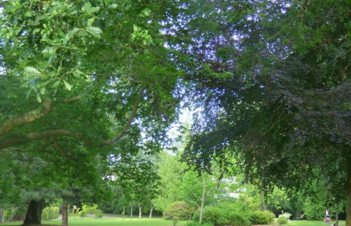 Warum dieser herrliche 3 Hektar große Park in Côtes-d’Armor weiterhin für die Öffentlichkeit geschlossen bleibt