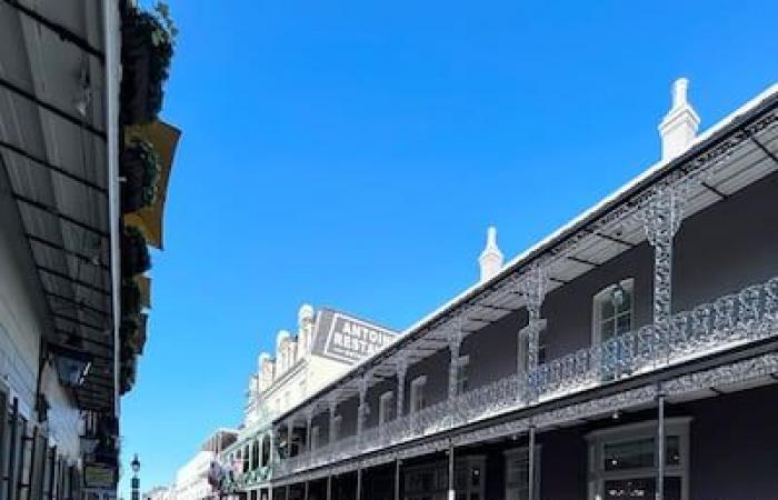 Fahrzeug-Rammangriff in New Orleans: Besucher aus Quebec ziehen Bilanz über schmerzhaften Weckruf