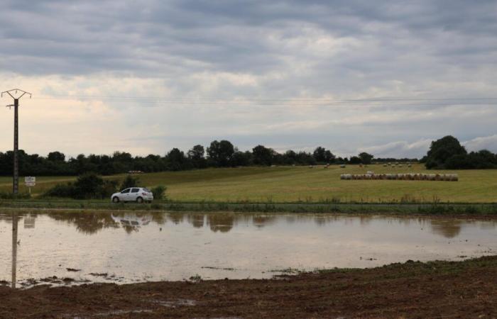 Wetterbericht 2024 in Vienne: + 15 % Regen,