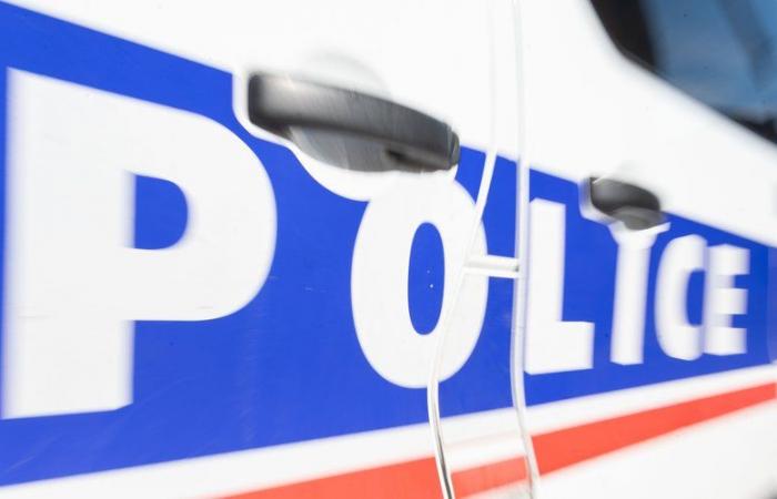 Säugling tot in einem Müllsack in der Nähe von Roanne aufgefunden: Wo werden die Ermittlungen als Mord eingestuft?