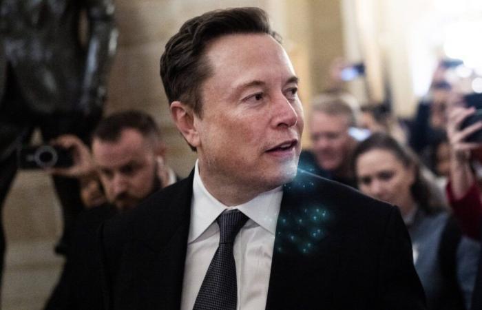 Elon Musk fordert die Freilassung des britischen Identitätsaktivisten