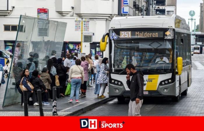 Entfernung von Bussen, neue Nummern, geänderte Fahrpläne …: große Veränderungen ab Januar auf dem De Lijn-Netz zwischen Brüssel und Brabant (INFOGRAFIEN)