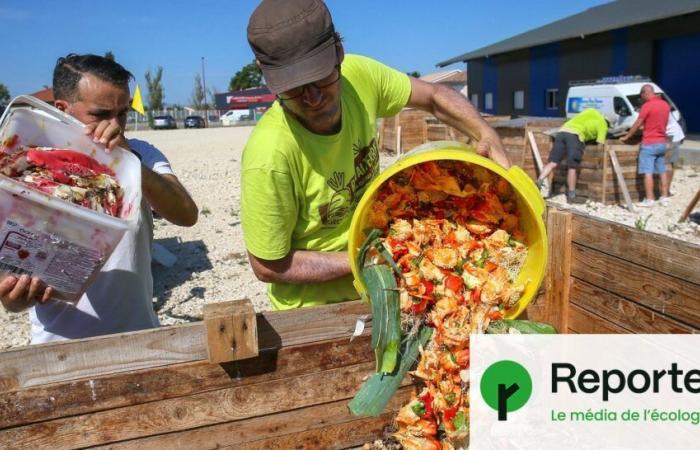 Trotz der Pflicht zur Bioabfalltrennung geraten Millionen Einwohner noch immer in Vergessenheit