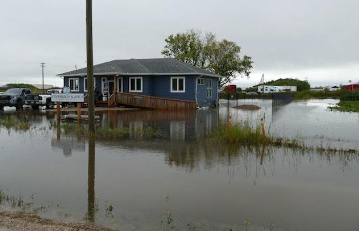 Die Winnipeg Humane Society steht aufgrund begrenzter Kapazitäten am Rande einer Krise