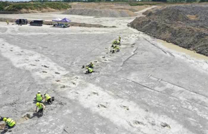 Rund 200 Dinosaurier-Fußabdrücke wurden in einem Steinbruch in England entdeckt