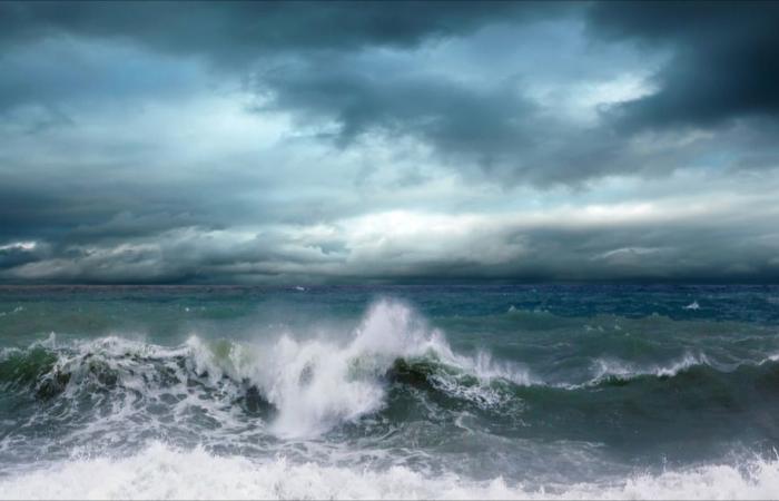 Ein unterkühlter Schwimmer wurde in Saint-Valéry-en-Caux vor dem Ertrinken gerettet