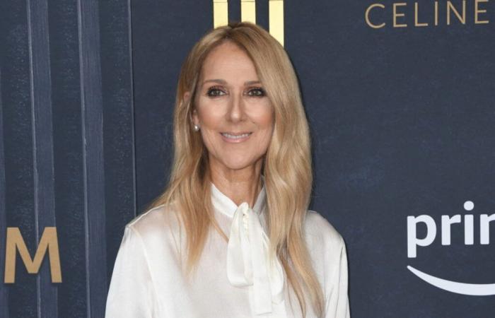 Um ein frohes neues Jahr zu wünschen, wählt Céline Dion ein außergewöhnliches Make-up – Foto