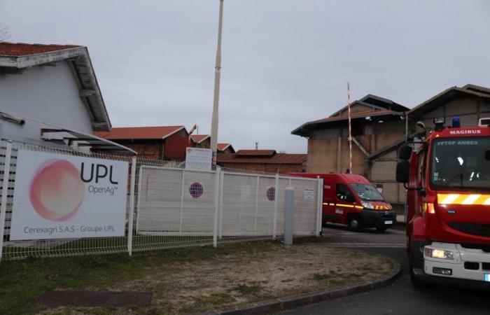 In der Nähe von Bordeaux ist die Cerexagri-Fabrik, klassifiziert in Seveso, von einem Brand betroffen