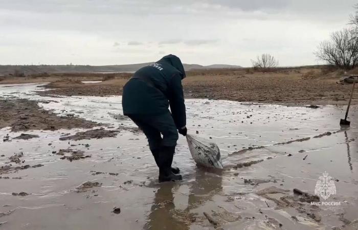 200.000 Tonnen Sand verseucht: Die Ölpest in Russland und der Krim breitet sich entlang der Küste weiter aus